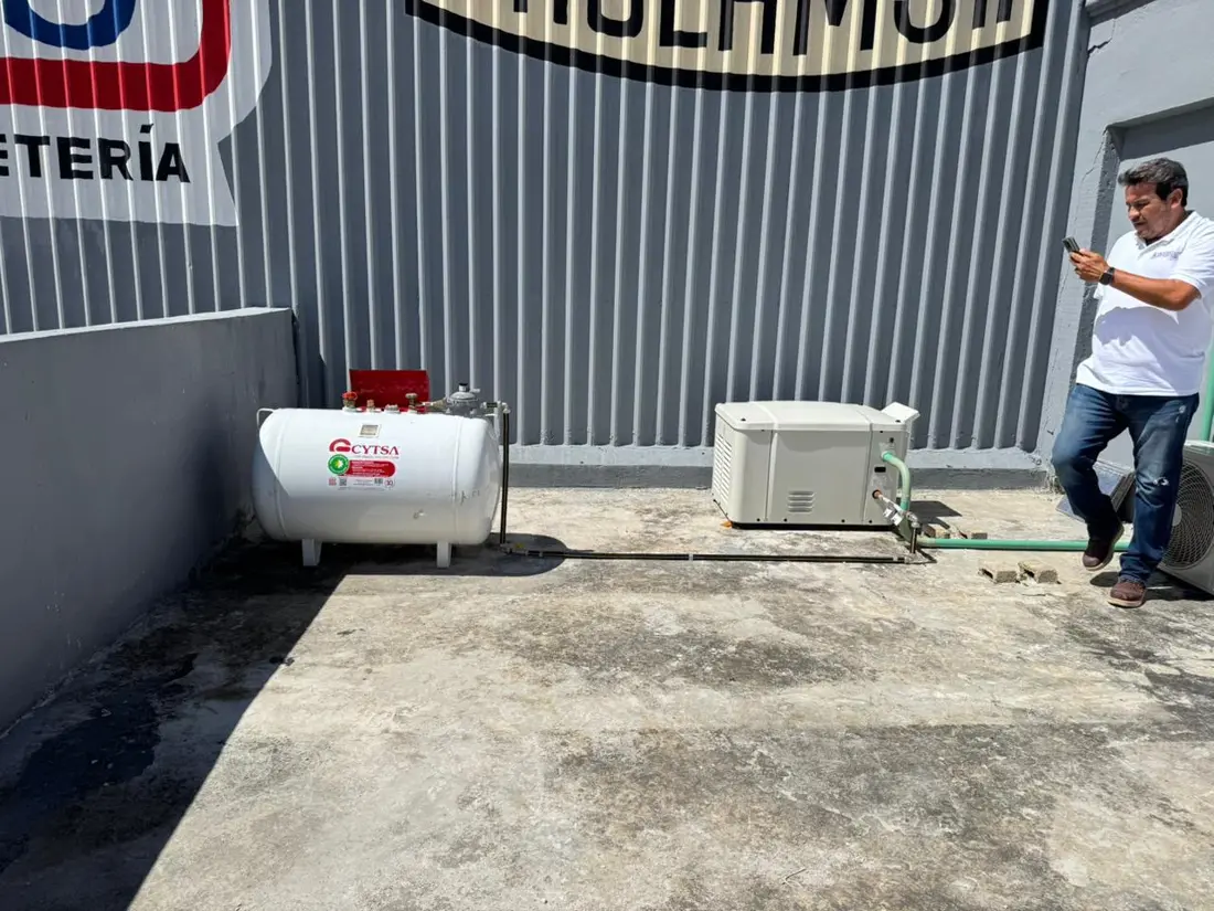 Planta en comercio